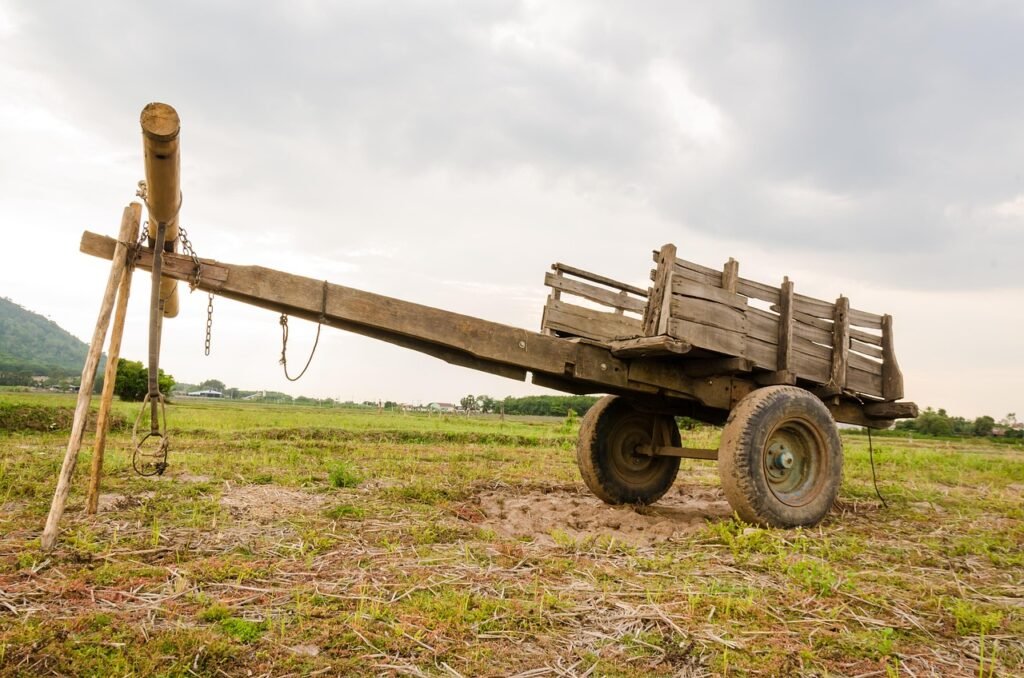 car cow, copper, grass, countryside, out side, transport, widgets, field, vehicle, country house, cloud, vietnam, pm, paddy field, nature, drought, image, vehicles, peaceful
